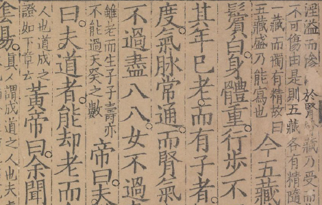 《黄帝内经》-《灵枢》《素问》传统医学四大经典著作之一