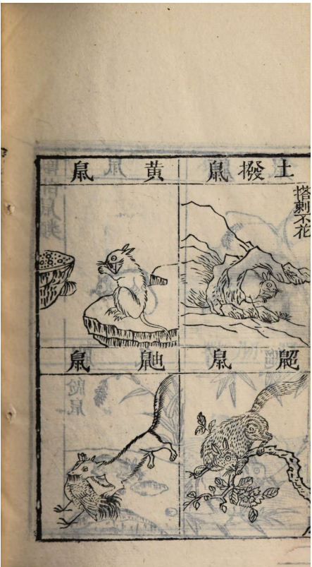 芥子园重订本草纲目