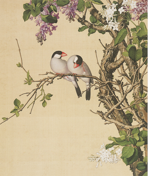 清|郎世宁《花鸟图册》：中西合璧的艺术瑰宝