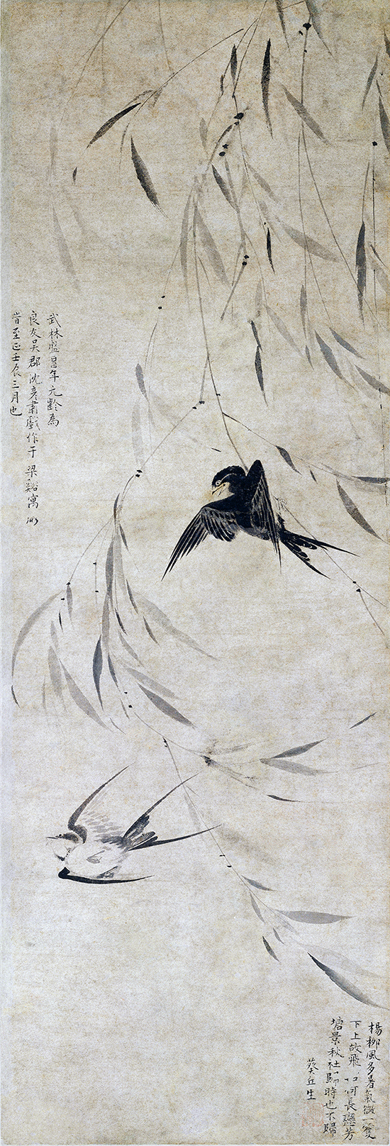 元 盛昌年 《柳燕图》纸本75.9x25.5 元代花鸟画典范之作