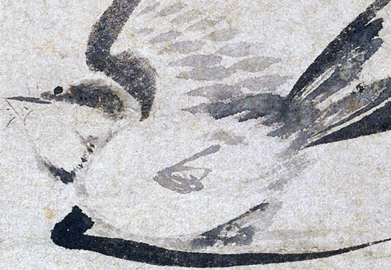 元 盛昌年 《柳燕图》纸本75.9x25.5 元代花鸟画典范之作