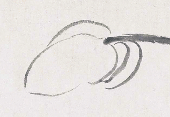 遗民画家的悲愤与抗争 清 朱耷 猫石图 纸本 34x218