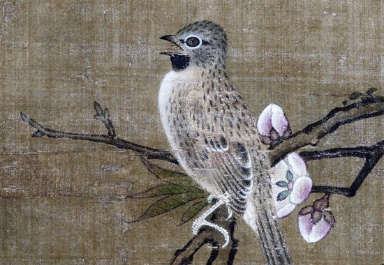 明 吕纪 四季花鸟图-春 明代花鸟画第一家
