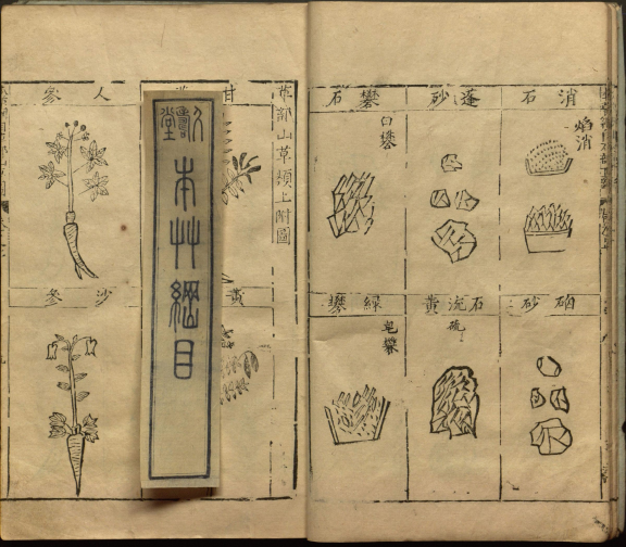 《本草纲目》：中医药学的璀璨瑰宝