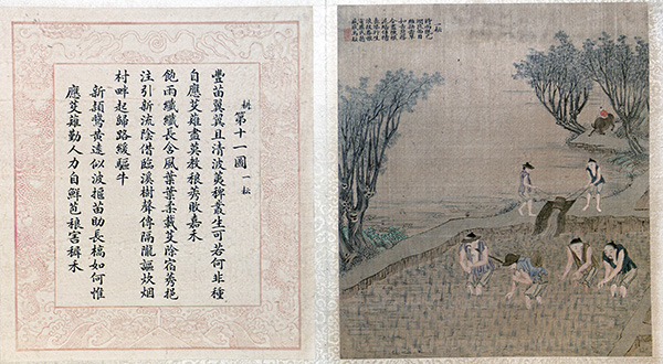 清 焦秉贞《耕织图册》46 幅 描绘了农耕生产的各个环节