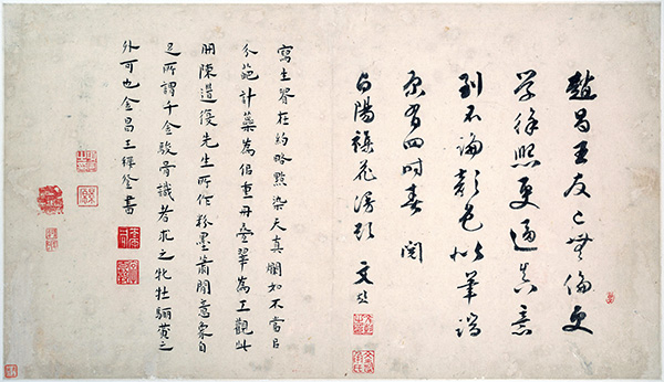 明 陈淳 花卉图册 与徐渭并称 “青藤白阳”