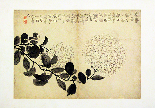 金农《花卉图册》古朴拙趣的笔法神韵 淡雅墨色的灵动运用