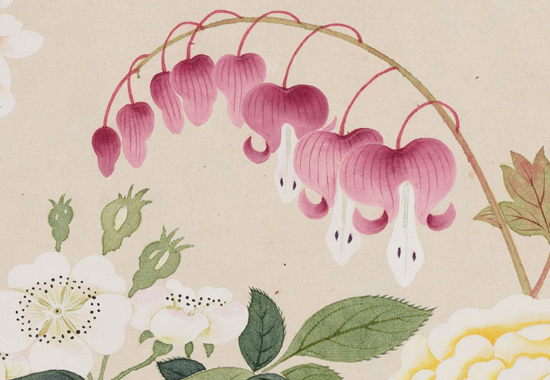 清 钱维城 《万有同春图卷》不同时节的几十种花卉穿插排列在画面中
