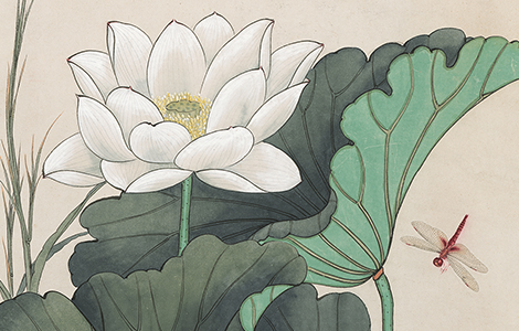 清末 于非闇《荷塘蜻蜓翠鸟图》色彩清爽淡雅 画面更具自然之趣