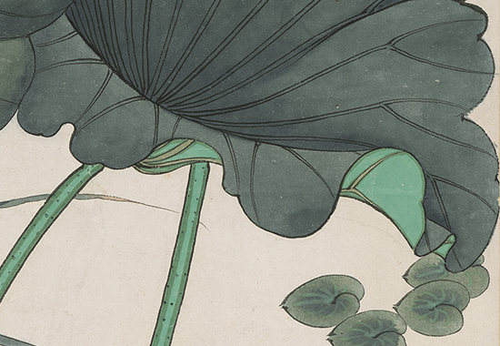 清末 于非闇《荷塘蜻蜓翠鸟图》色彩清爽淡雅 画面更具自然之趣
