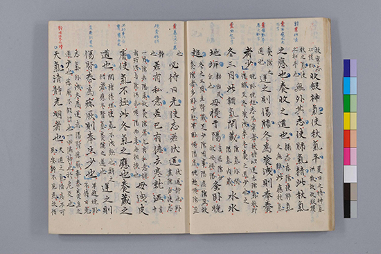 隋唐 杨上善《黄帝内经太素》世代中医学家奉为圣典 形神合一的生命观