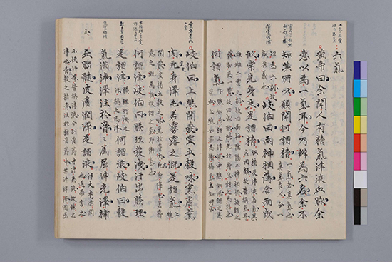 隋唐 杨上善《黄帝内经太素》世代中医学家奉为圣典 形神合一的生命观