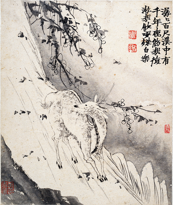 清 金农《墨戏图册》荷花、花卉、瓜果、梅花、兔子等诸多元素
