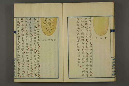 《舌苔图说》归纳总结舌苔分类及对应病症等内容