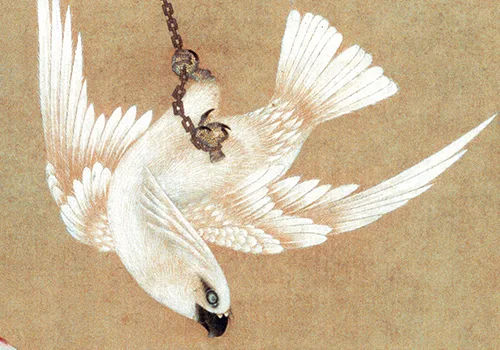清 胡湄《鹦鹉戏蝶图》“仙笔”绘画技艺欣赏的配图-墨韵书香