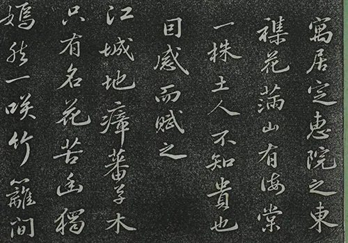 东坡先生的海棠心事:被贬后,我把孤独说给花儿听 《定惠院海棠诗卷》的配图-墨韵书香
