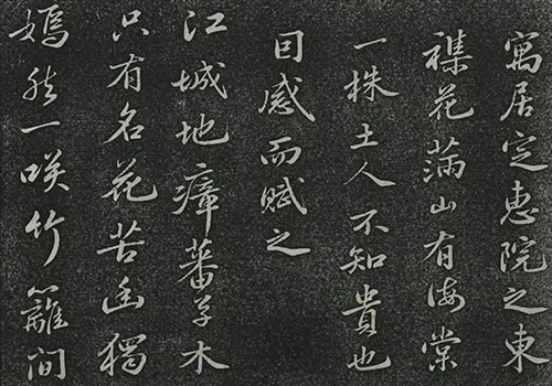 东坡先生的海棠心事:被贬后,我把孤独说给花儿听 《定惠院海棠诗卷》的配图2-墨韵书香