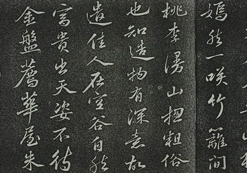 东坡先生的海棠心事:被贬后,我把孤独说给花儿听 《定惠院海棠诗卷》的配图3-墨韵书香