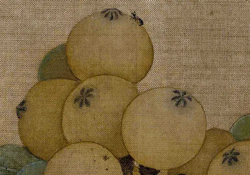 南宋小画里的「枇杷与鸟虫恩怨」：故宫藏画里藏着哪些趣事儿？的配图5-墨韵书香