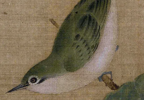 南宋小画里的「枇杷与鸟虫恩怨」：故宫藏画里藏着哪些趣事儿？的配图6-墨韵书香