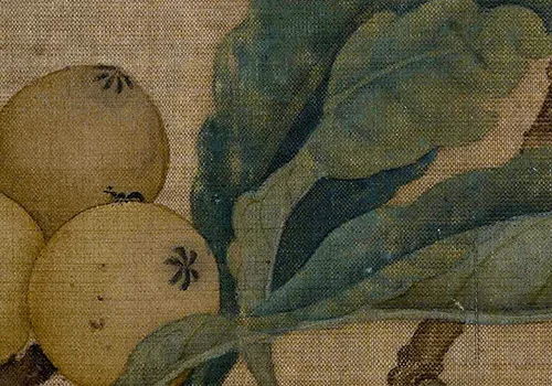 南宋小画里的「枇杷与鸟虫恩怨」：故宫藏画里藏着哪些趣事儿？的配图7-墨韵书香
