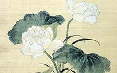 《赐莲图轴》皇帝送莲花,大臣画名画,后来他们都去编字典了?的配图-墨韵书香