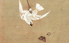清 胡湄《鹦鹉戏蝶图》“仙笔”绘画技艺欣赏的配图-墨韵书香