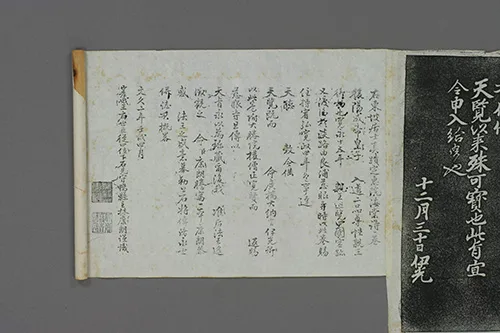 东坡先生的海棠心事:被贬后,我把孤独说给花儿听 《定惠院海棠诗卷》的配图11-墨韵书香
