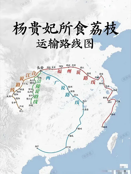 荔枝道考古现场:原来杨贵妃吃的荔枝真不是从广东运来的!的配图5-墨韵书香