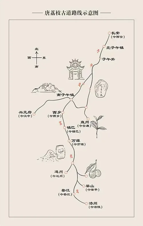 荔枝道考古现场:原来杨贵妃吃的荔枝真不是从广东运来的!的配图8-墨韵书香