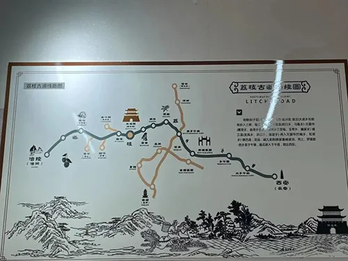 荔枝道考古现场:原来杨贵妃吃的荔枝真不是从广东运来的!的配图6-墨韵书香