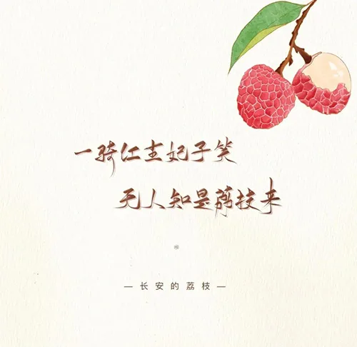 荔枝道考古现场:原来杨贵妃吃的荔枝真不是从广东运来的!的配图4-墨韵书香