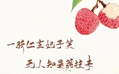 荔枝道考古现场:原来杨贵妃吃的荔枝真不是从广东运来的!的配图-墨韵书香