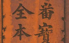《番宝名琴全本》琴音化盗亦化人！清代木鱼书里的奇书，藏着跨越时空的音乐与爱情史诗的配图-墨韵书香