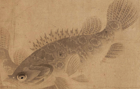 元 周东卿 鱼乐图卷纸本32.1x1122 元 周东卿 鱼乐图卷纸本32.1x1122